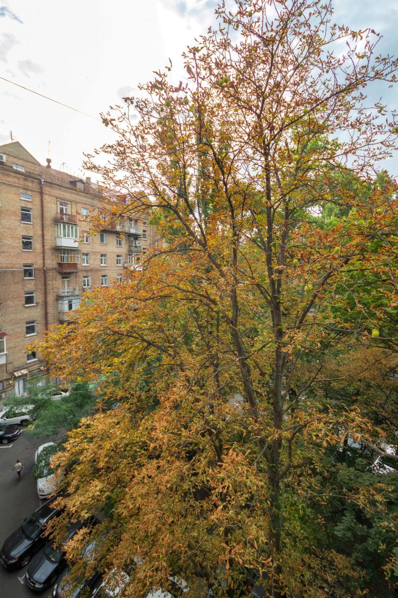 Central Apartments Κίεβο Εξωτερικό φωτογραφία